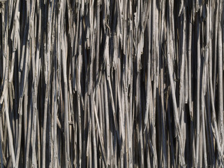 reed texture background