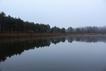 Fototapeta na wymiar Nice scene and reflection on lake, Máchovo jezero, Czech Republic.