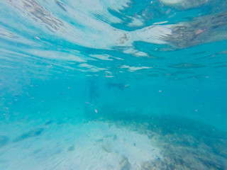 underwater world. Snorkeling with fish, reef, rock and coral