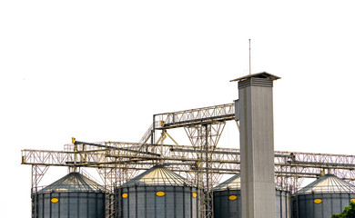 Fototapeta na wymiar Agricultural silo at feed mill factory. Flat silo for store and drying grain, wheat, corn at farm. Storage of agricultural product. Big tank for store grain. Grain stock tower. Agriculture industry.