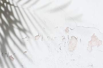 Distressed white wall