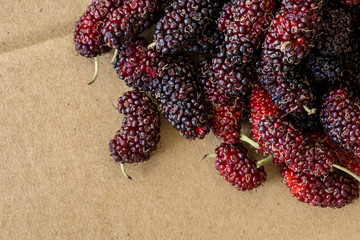 Organic mulberry fruit, Black ripe and Red unripe mulberries