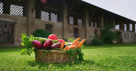 Shot of a basket with fresh biologic just harvested vegetables on a background of a countryside farm.