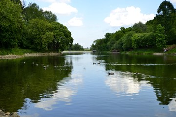Fototapeta na wymiar Pond in the Park in spring