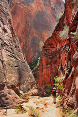 Hikers in Utah's Zion National Park