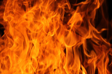 Fototapeta premium blaze fire flame texture background