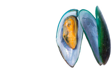 MUSSEL Is a double shell