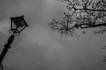Street lamp with a sky background.