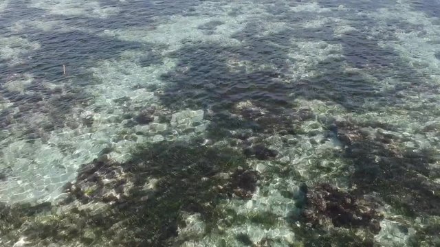 Surface of sea or beach with coral and sand in underwater on Gunung Payung beach, Nusa Dua, Bali in Indonesia. Aerial view from drone.