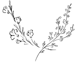 Fototapeta premium Hand Drawn Illustrations Of Two Branches With Flowers and Leaves Isolated on White. Hand Drawn Sketch of a Flowers. Line art