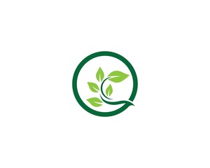 Ecology logo template vector icon