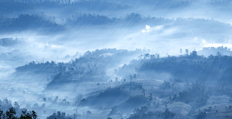 Misty mountain forest landscape in the morning.