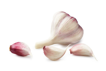 Fresh Garlic isolated on white background