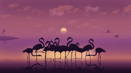 Florida is spelled out in the legs of a flock of flamingos standing in shallow water at sunset in this illustration about tropical Florida, USA.