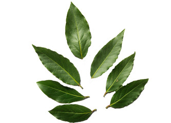 seven bay leaves isolated