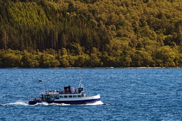 cruise ship sailing on the sea