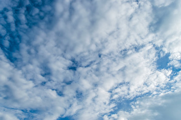 Blue sky