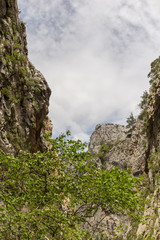 Vertical mountain landscape with copy space