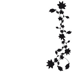 Naklejka premium beautiful flowers