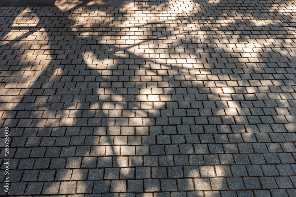 Poster stone tile tree branches silhouette shade and shadow nature abstract background