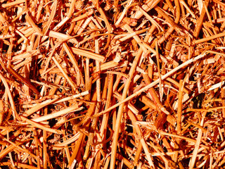 Texture. Background. Dry yellow straw.