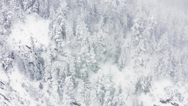 2 clips with differend shots with a drone of a valley in Fla - Buskerud - Norway in snowy conditions