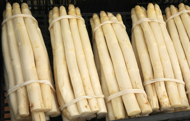 many bunches of big ripe white asparagus for sale at the greengr