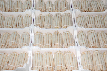 many boxes full of white asparagus