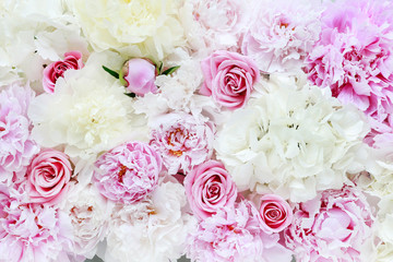 Flower background with peonies, roses and hortensias.