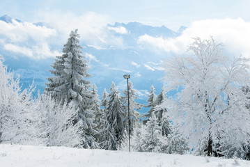 秋の雪の後のリギ山の樹氷（スイス・ルツェルン州／シュヴィーツ州）