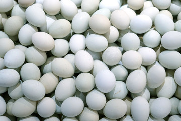 top view of green duck eggs as food background