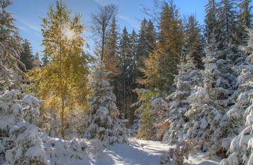 Landschaft, Idylle