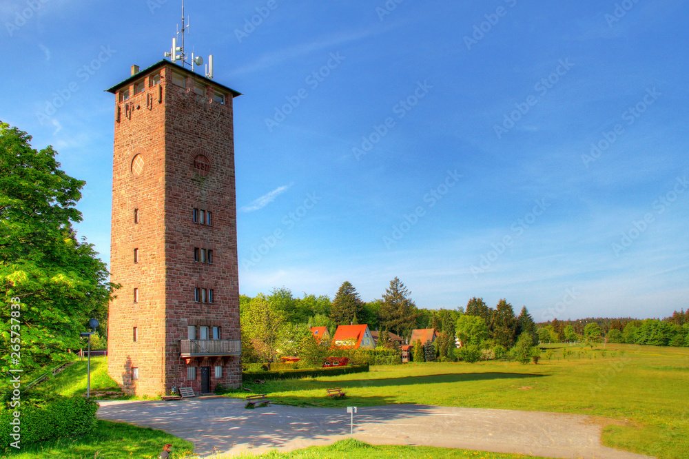 Wall mural Aussichtsturm Dobel