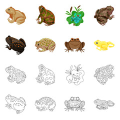 Vector design of wildlife and bog sign. Collection of wildlife and reptile vector icon for stock.