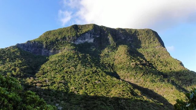 Stunning aerial 4k drone footage of Mount Gower, seen through tropical forest in Erskine Valley on Lord Howe Island, a pacific subtropical island in the Tasman Sea between Australia and New Zealand.