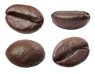 Collection of coffee beans isolated on white background. Close up.
