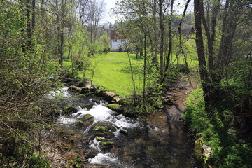 Vereinigung