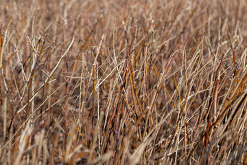 Fototapeta premium OLYMPUS DIGITAL CAMERA