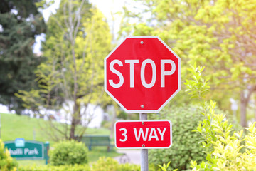 the image of 3-way stop sign city park