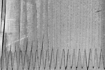 Fototapeta premium Texture of a wooden surface close up. Wooden background black and white