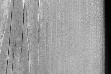 Fototapeta premium Texture of a wooden surface close up. Wooden background black and white