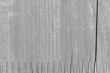 Obraz premium Texture of a wooden surface close up. Wooden background black and white