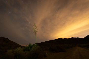 Night landscape in the natural park of Cabo de Gata. Almeria. Spain.