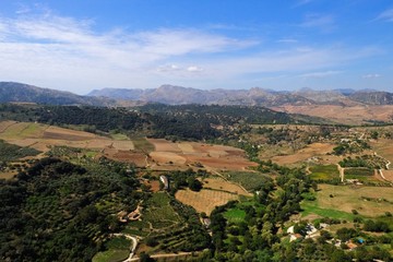 Fototapeta na wymiar Andalucia landscape, countryside road and rock in Ronda, Spain