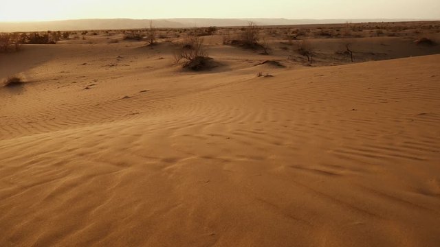 Panning up shot of pure extensive desert and dunes and sands flow on wind  Pure endless extensive desert and sands and dunes and brambles and light wind under sunlight