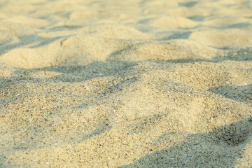 Sea sand as background, space for text. Summer backdrop