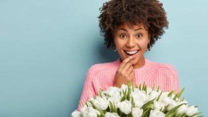 Close up shot of smiling beautiful Afro American lady in high spirit, gets flowers on birthday, has natural beauty, stands with white tulips, wears pink jumper, isolated on blue wall with free space
