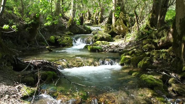  landschaft mit wasserfall und kaskaden, fluss im wald