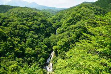 Kirifuri fall, one of the most famous in Japan