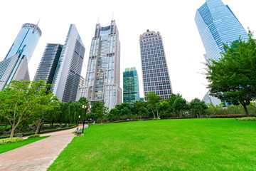 The grass in the garden after the group of high-rise buildings.